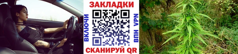 Где купить наркотики Лениногорск APVP Кокаин Гашиш МАРИХУАНА
