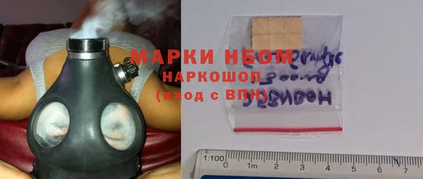 хмурый Алексин
