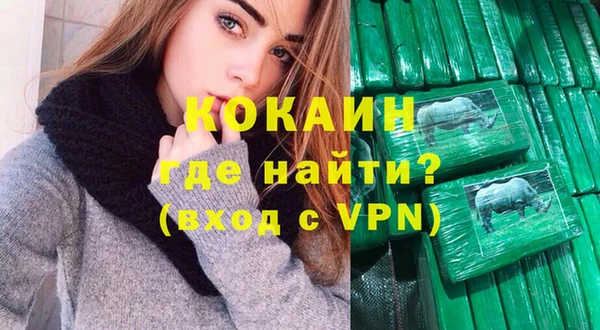 хмурый Алексин