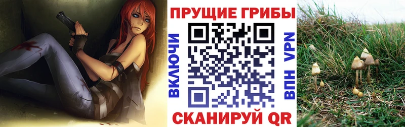 как найти закладки  Лениногорск  Галлюциногенные грибы Psilocybine cubensis 